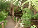 accommodation st lucia south africa
