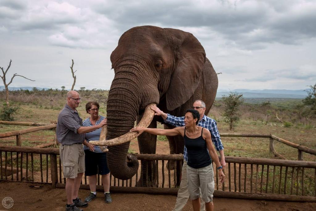 Elephant & Cheetah Interaction Package - St Lucia South Africa